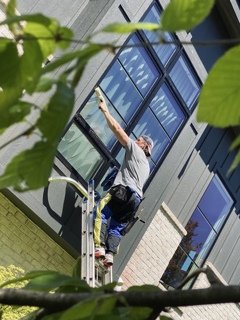 Window washing, Ernest Windows, Window Washing Deerfield, Northbrook, Gutter Cleaning