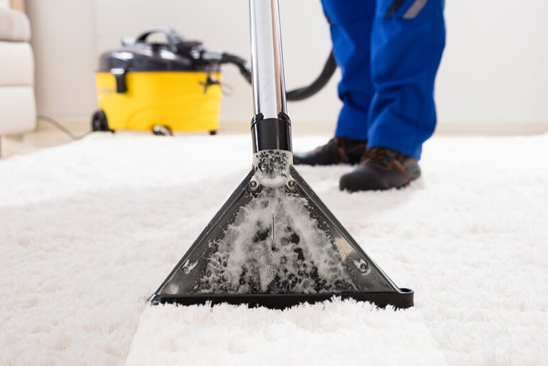 STEAM CLEANING CARPETS AND RUGS