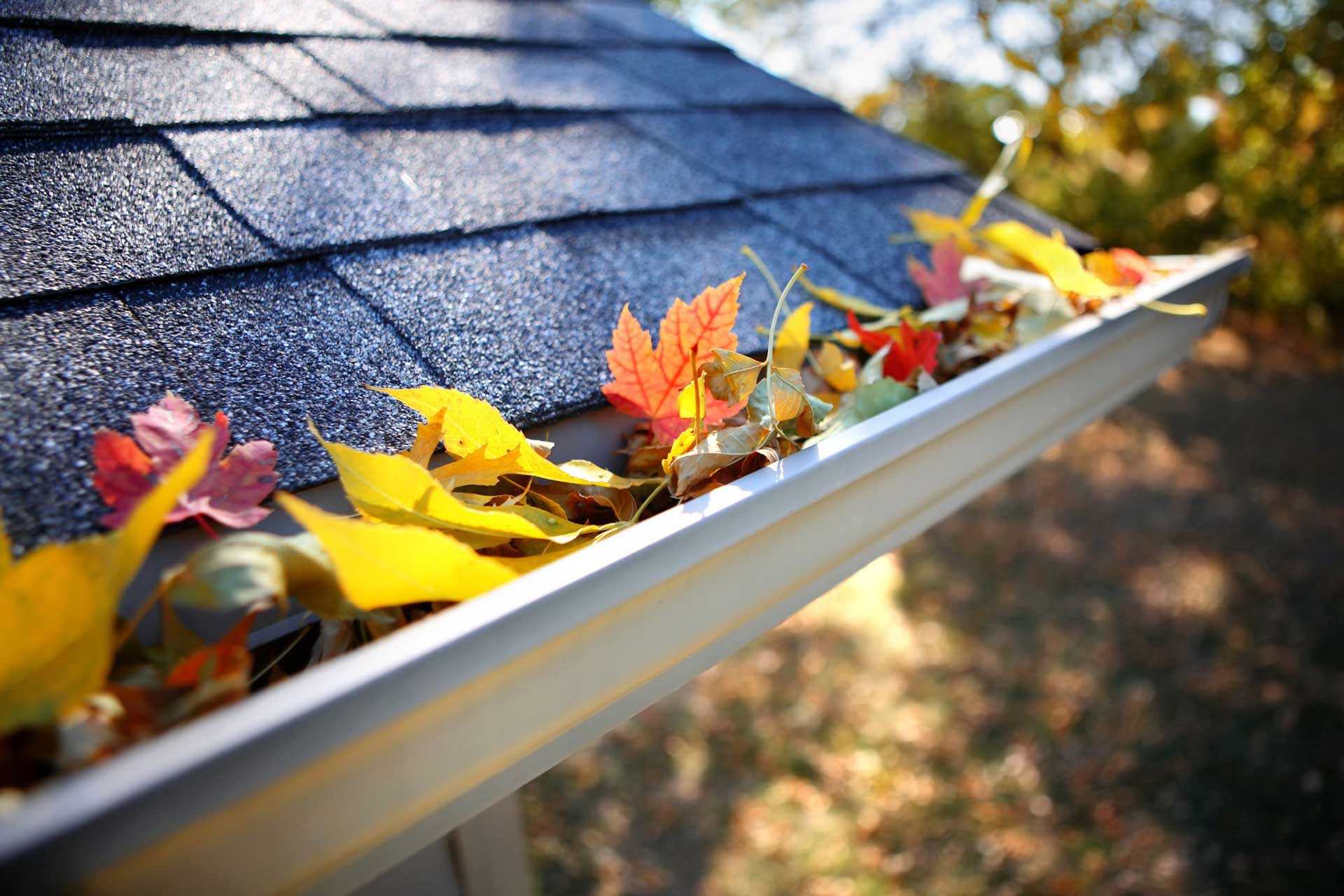 Gutter cleaning